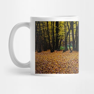 ‘Dark Wood’ - Autumn arrives, leaves fall Mug